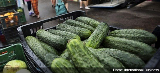 Colombia News - cucumbers